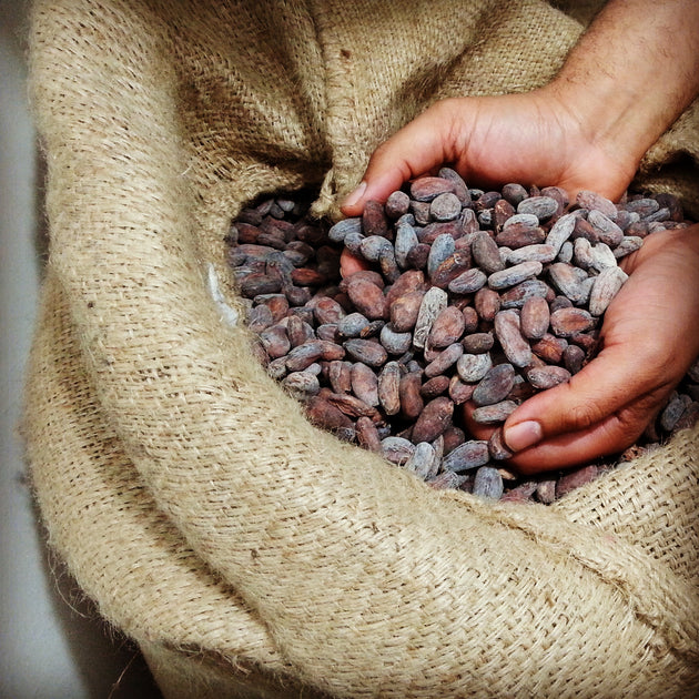 Raw Cacao Beans 1kg OCHO